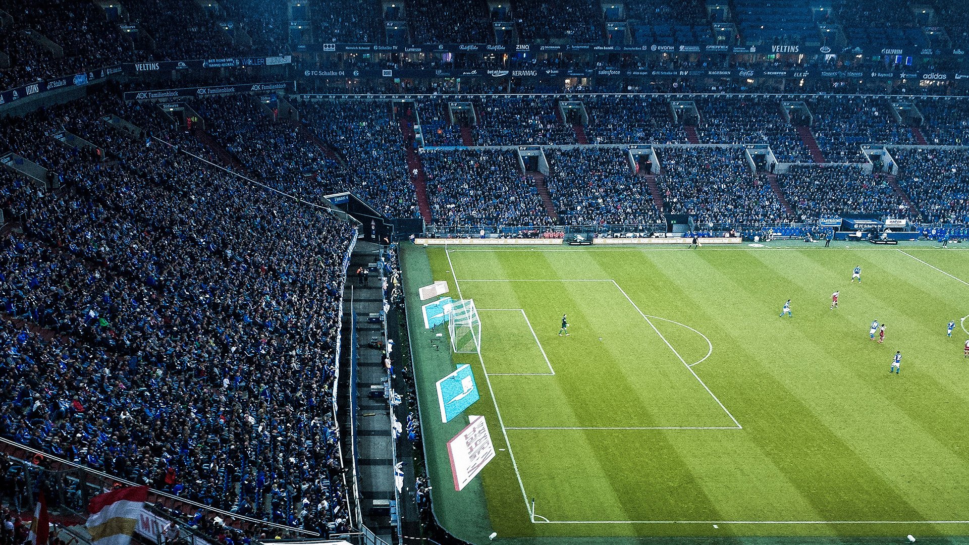 排球赛场焦点！法国队对阵荷兰队，老将回归赛场，再度燃起斗志